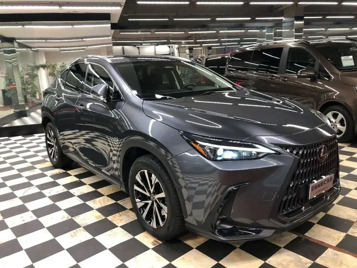 Usata Lexus NX450h+ 185 CV (136 kW) 2023 Antracite SUV