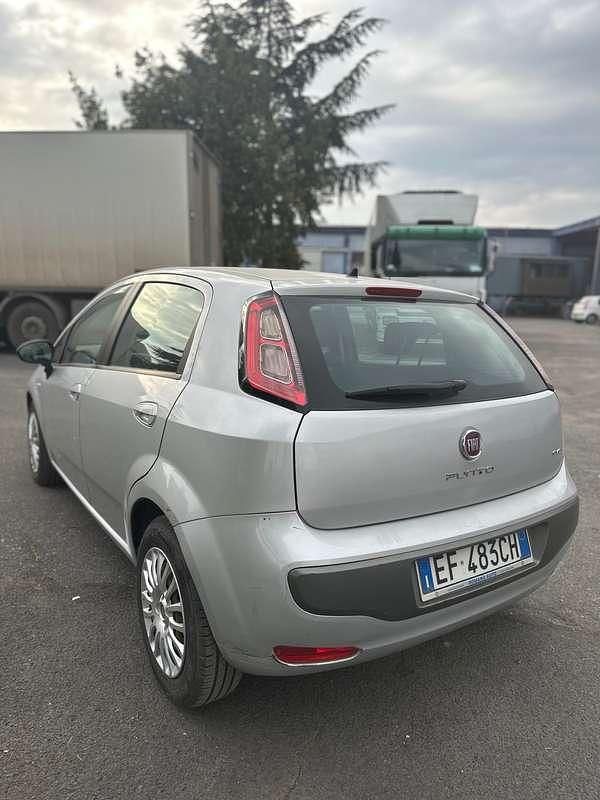 Usata Fiat Punto Evo Active 75 CV (55 kW) 2010 Grigio Utilitaria