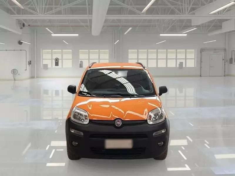 Usata Fiat Panda 4x4 Pop 80 CV (58 kW) 2017 Utilitaria