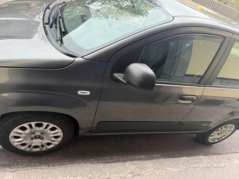 Usata Fiat Panda Easy 69 CV (50 kW) 2019 Grigio Utilitaria