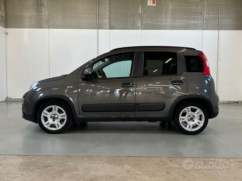 Usata Fiat Panda City Life 70 CV (51 kW) 2022 Grigio Utilitaria