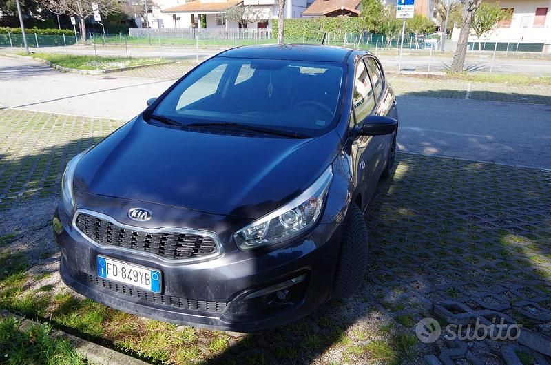 Usata Kia Ceed Active 110 CV (80 kW) 2015 Grigio Utilitaria
