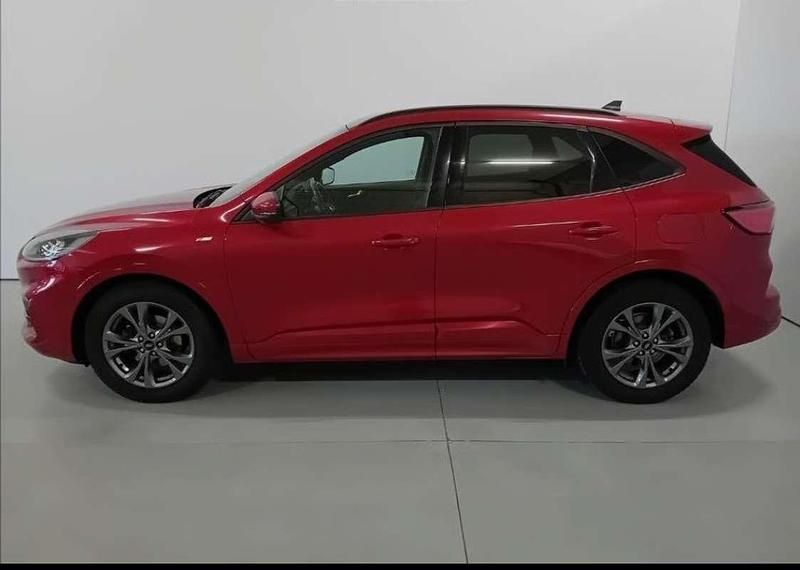 Usata Ford Kuga ST-Line X 120 CV (88 kW) 2021 SUV