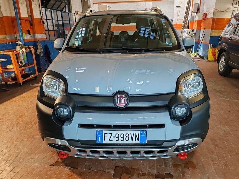 Usato 2020 Fiat Panda 4x4 0.9 LPG_Hybrid 84 CV (14.500 €)
