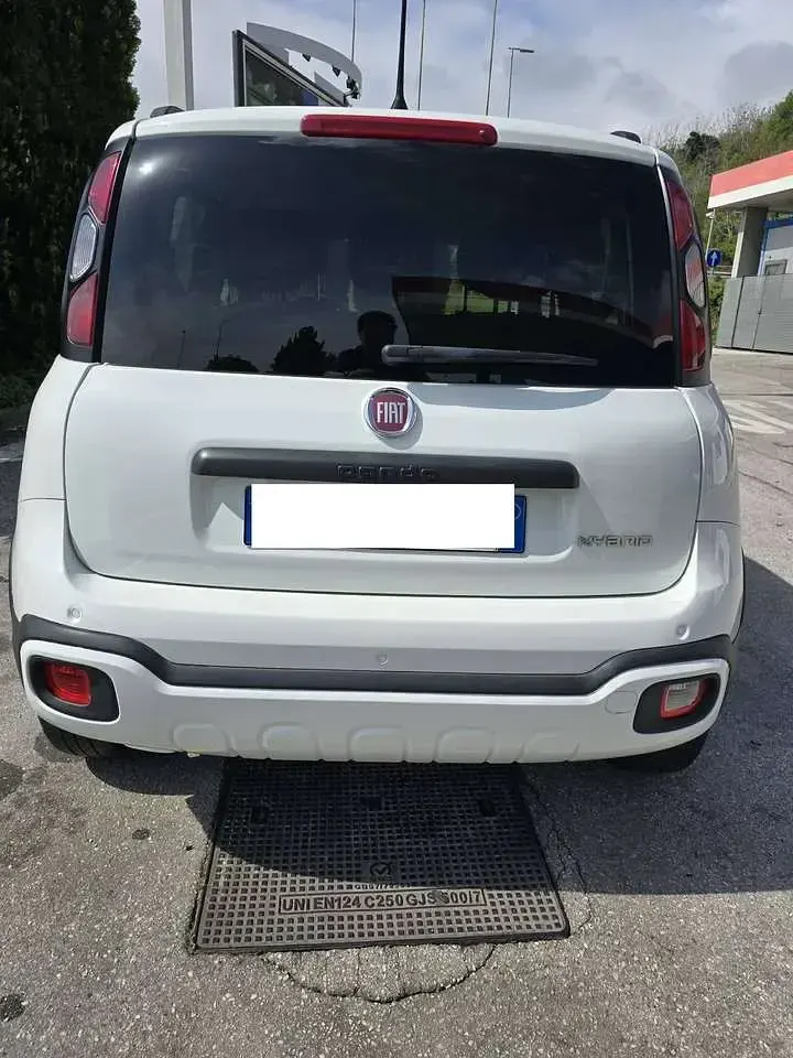 Usata Fiat Panda Cross Cross 69 CV (50 kW) 2024 Bianco Utilitaria