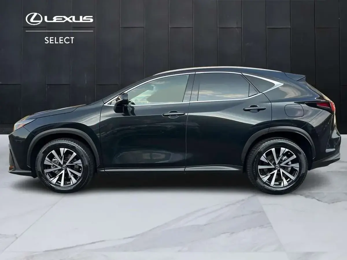 Usata Lexus NX300h 243 CV (178 kW) 2022 Nero SUV