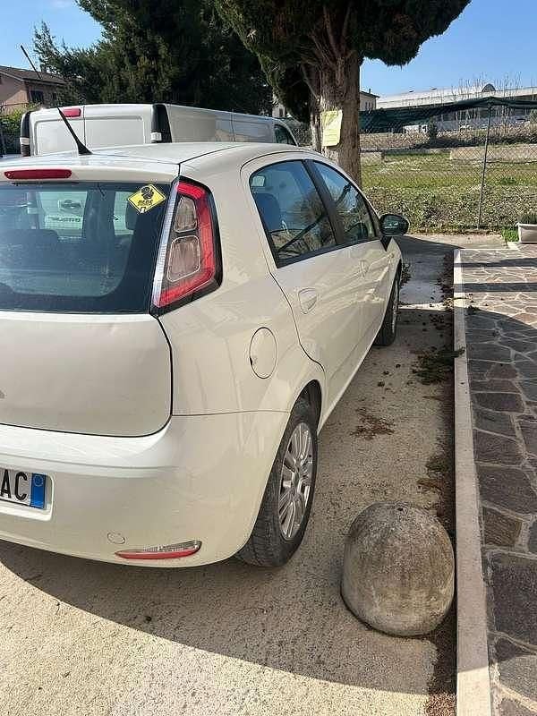 Usata Fiat Punto Lounge 75 CV (55 kW) 2014 Bianco Utilitaria