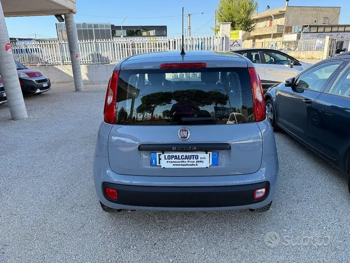 Usata Fiat Panda Easy 68 CV (50 kW) 2018 Grigio Utilitaria