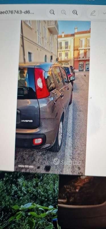 Usata Fiat Panda S 69 CV (50 kW) 2020 Grigio Utilitaria