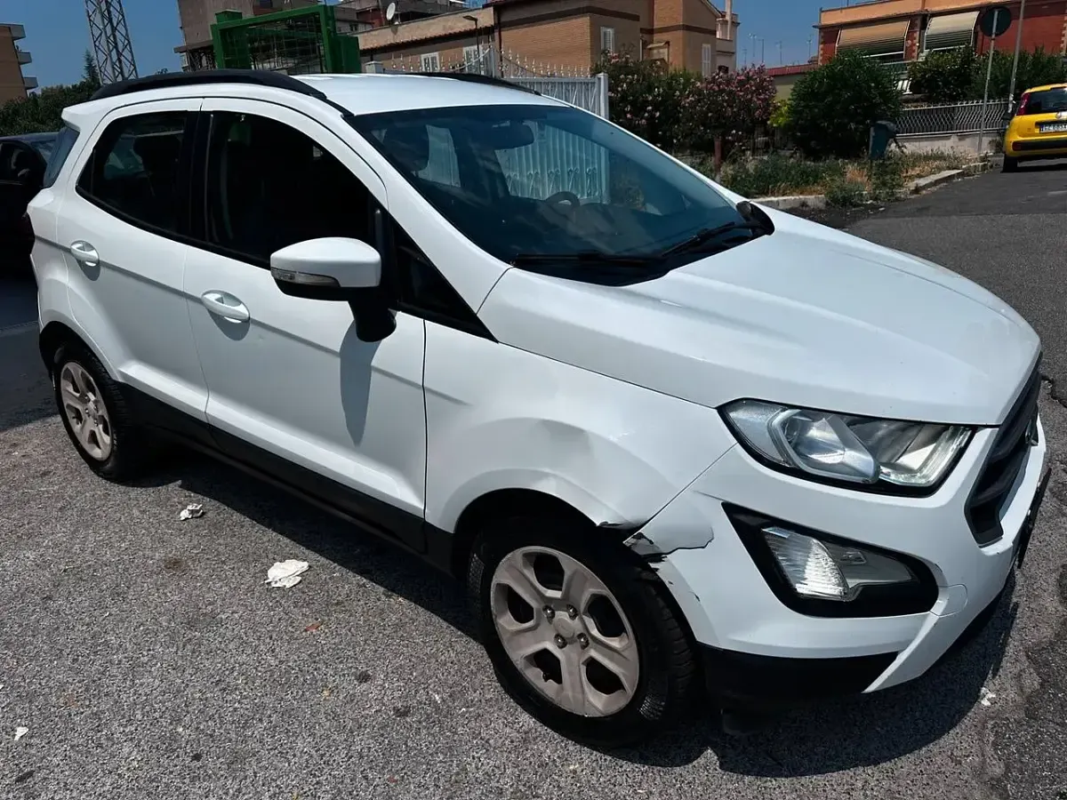 Usata Ford Ecosport Business Edition 99 CV (72 kW) 2019 Bianco SUV