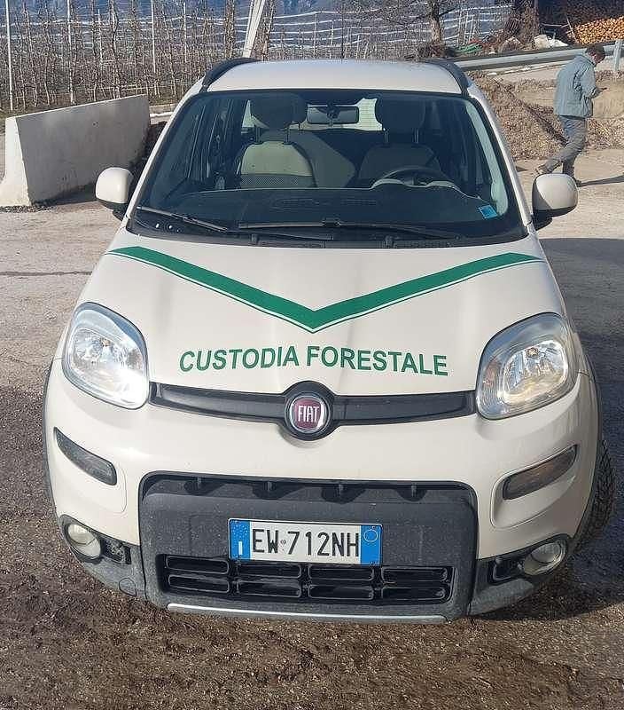 Gebraucht Fiat Panda 4x4 75 PS (55 kW) 2014 Weiß Kleinwagen