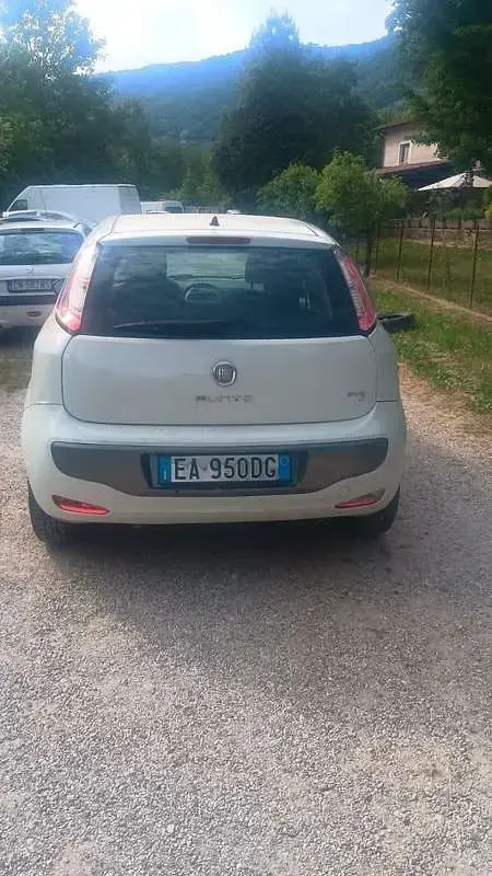 Usata Fiat Punto Evo Emotion 77 CV (56 kW) 2010 Utilitaria