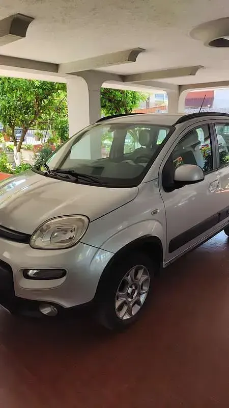 Usata Fiat Panda 4x4 75 CV (55 kW) 2014 Argento Utilitaria