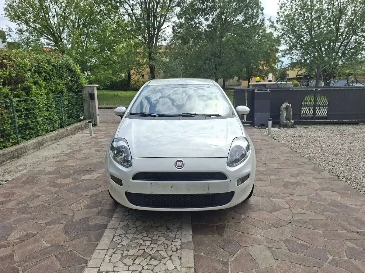 Usata Fiat Punto Pop 69 CV (50 kW) 2015 Bianco Utilitaria