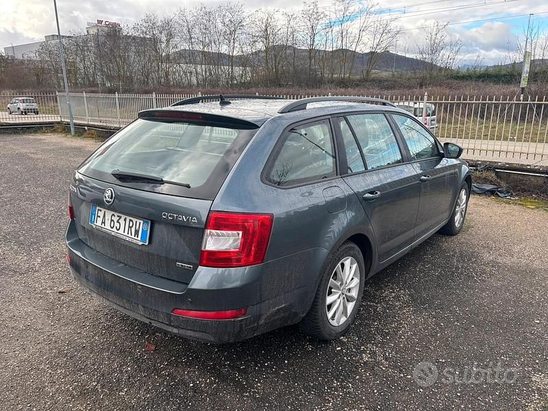 Usata Skoda Octavia G-TEC Executive 110 CV (80 kW) 2015 Grigio Station wagon