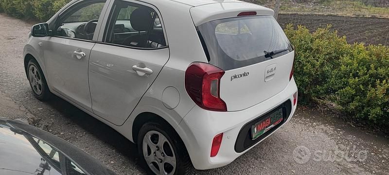 Usata Kia Picanto 67 CV (49 kW) 2021 Bianco Utilitaria