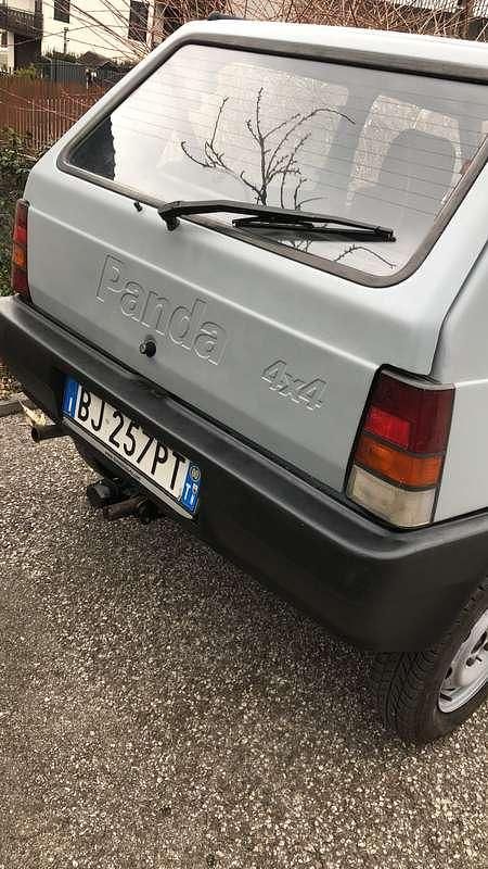 Usata Fiat Panda 4x4 Trekking 54 CV (39 kW) 2000 Utilitaria