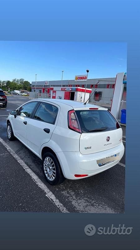Usata Fiat Punto 77 CV (56 kW) 2013 Bianco Berlina