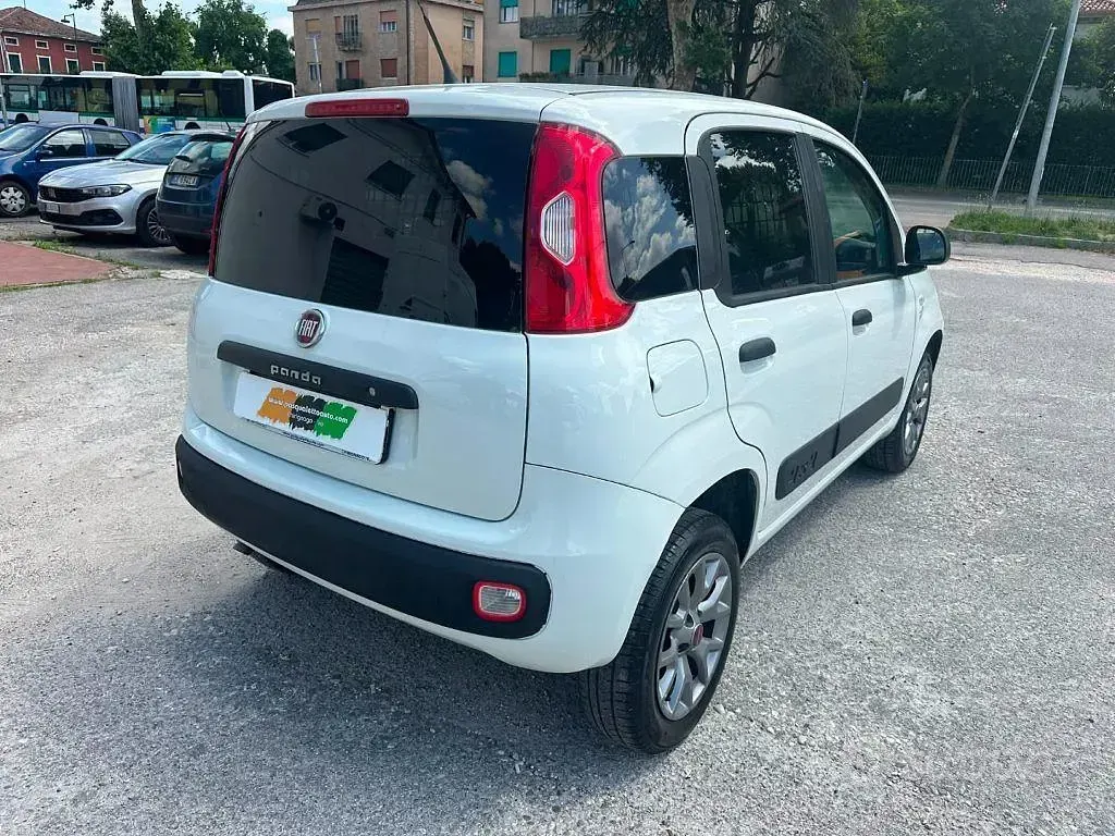 Usata Fiat Panda 4x4 Pop 84 CV (61 kW) 2019 Bianco Utilitaria