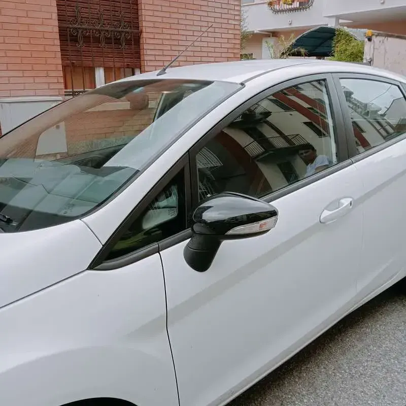 Usata Ford Fiesta Titanium 95 CV (69 kW) 2009 Berlina