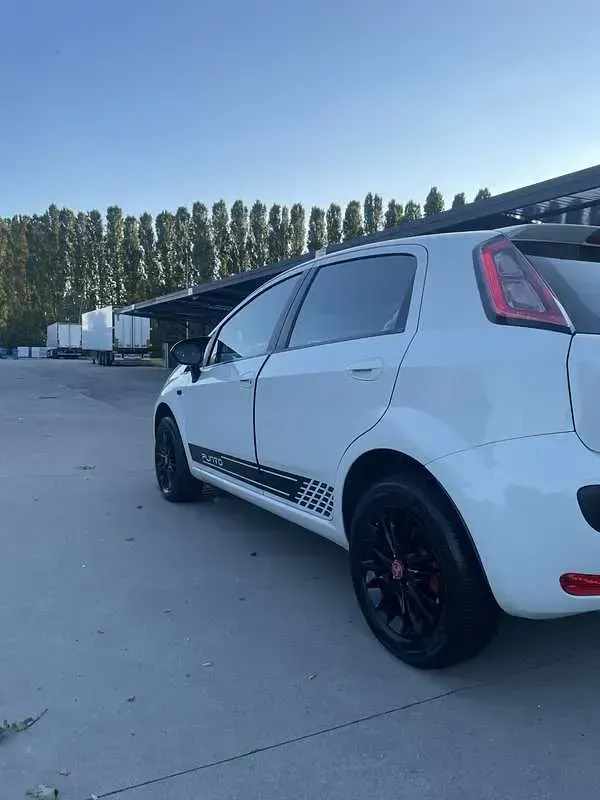 Usata Fiat Punto Evo S 77 CV (56 kW) 2012 Utilitaria