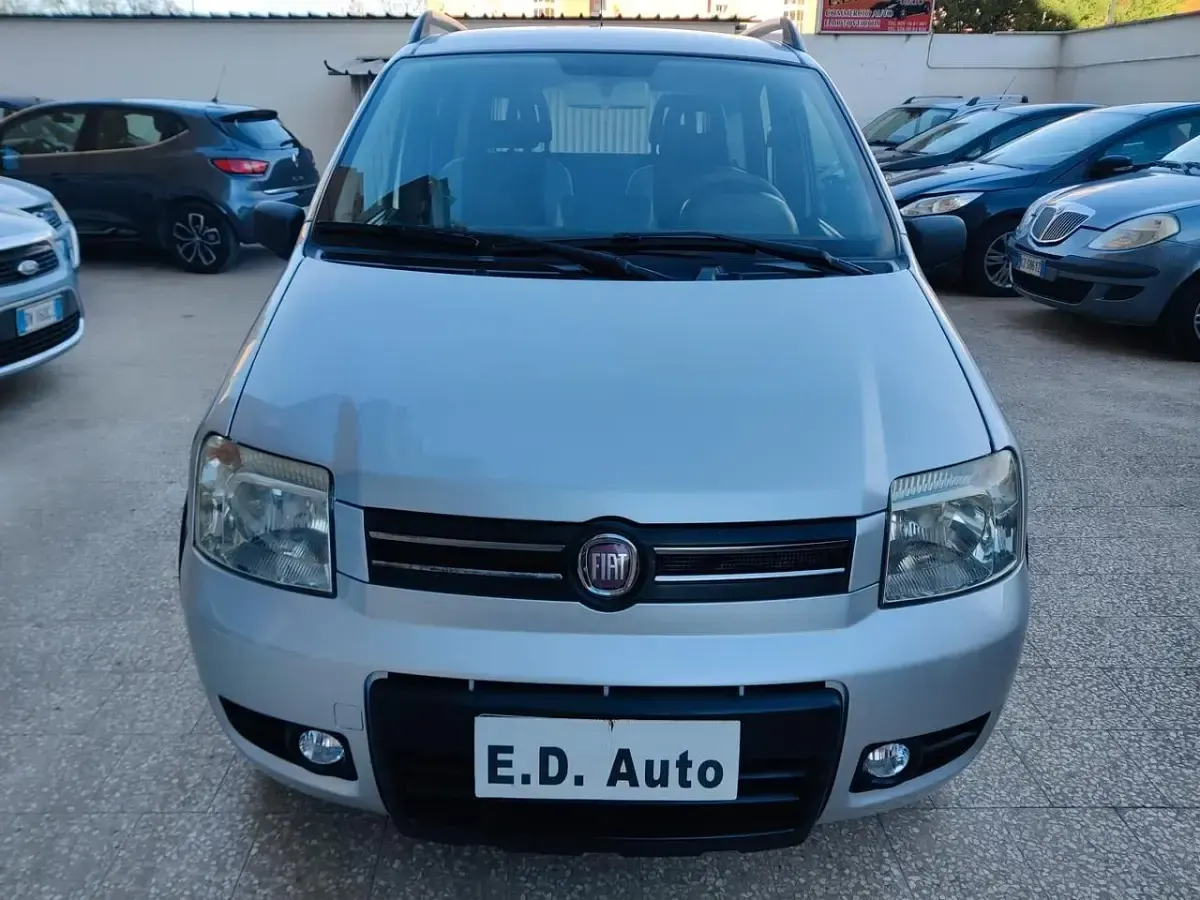 Usata Fiat Panda 4x4 75 CV (55 kW) 2009 Grigio Utilitaria