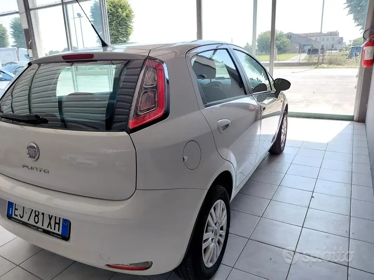 Usata Fiat Punto Pop 70 CV (51 kW) 2012 Bianco Utilitaria