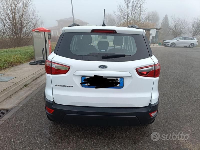 Usata Ford Ecosport 100 CV (73 kW) 2019 Bianco SUV
