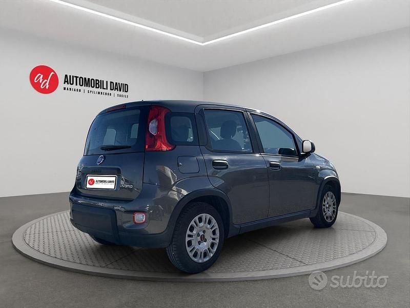 Usata Fiat Panda S 70 CV (51 kW) 2022 Grigio Utilitaria