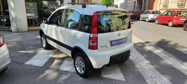 Usata Fiat Panda 4x4 Climbing 69 CV (50 kW) 2008 Bianco pastello Utilitaria