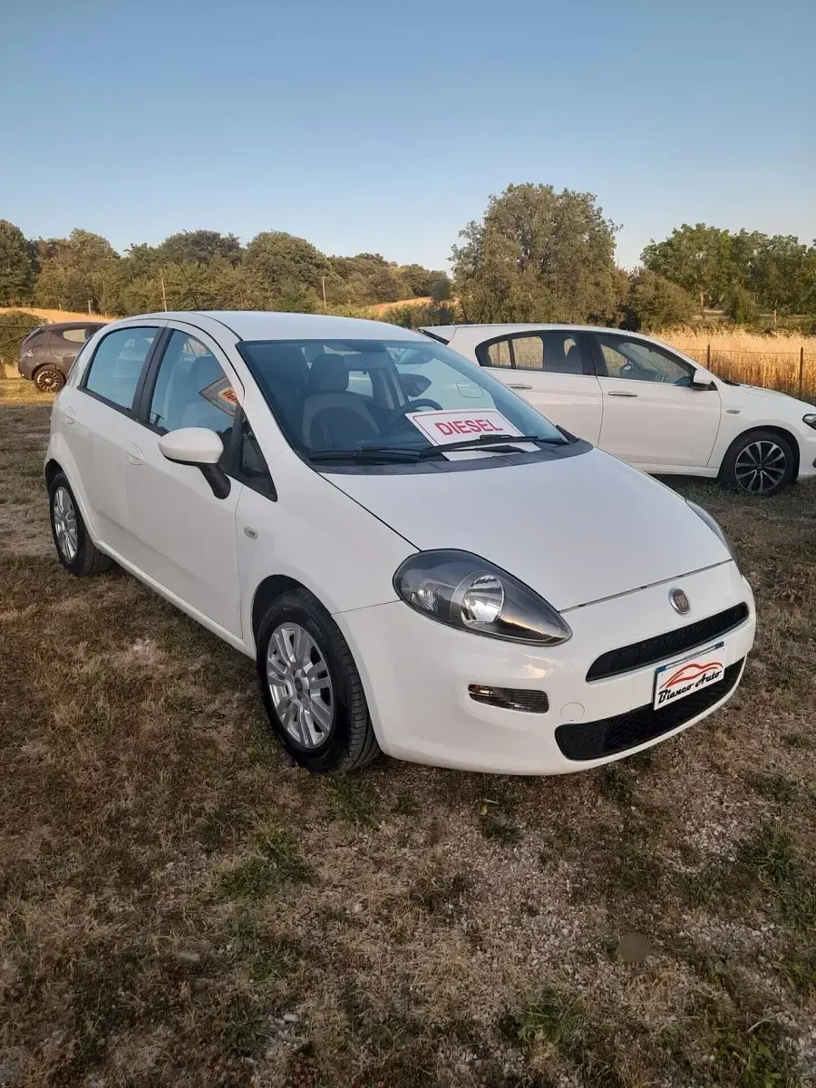 Usata Fiat Punto Lounge 85 CV (62 kW) 2012 Bianco Utilitaria