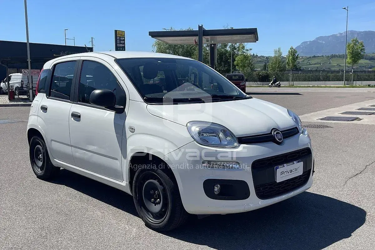 Usata Fiat Panda Easy 69 CV (50 kW) 2016 Bianco Utilitaria