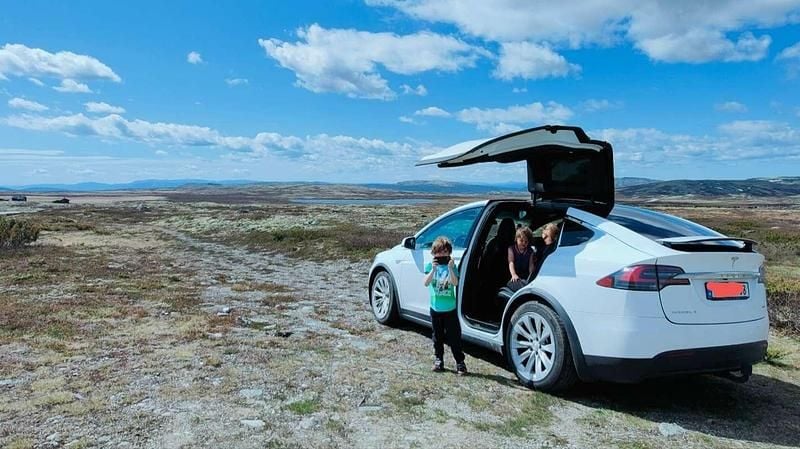 Usata Tesla Model X 158 kW (215 CV) 2016 SUV