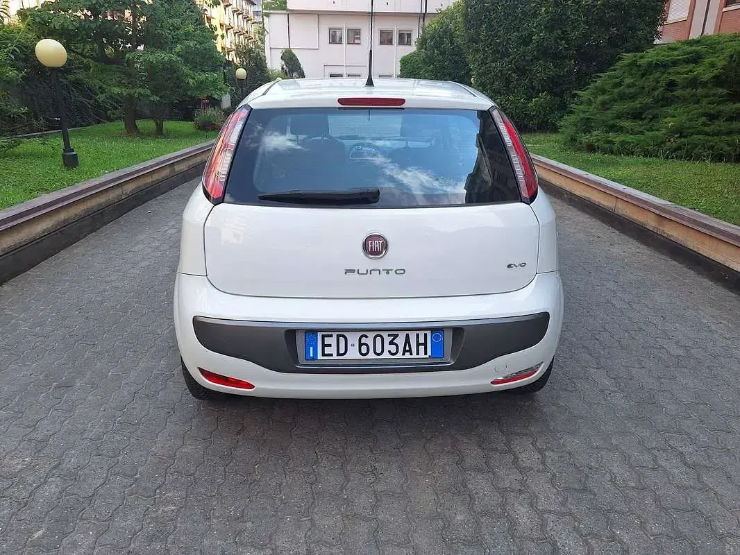 Usata Fiat Punto Evo Dynamic 77 CV (56 kW) 2010 Bianco Utilitaria