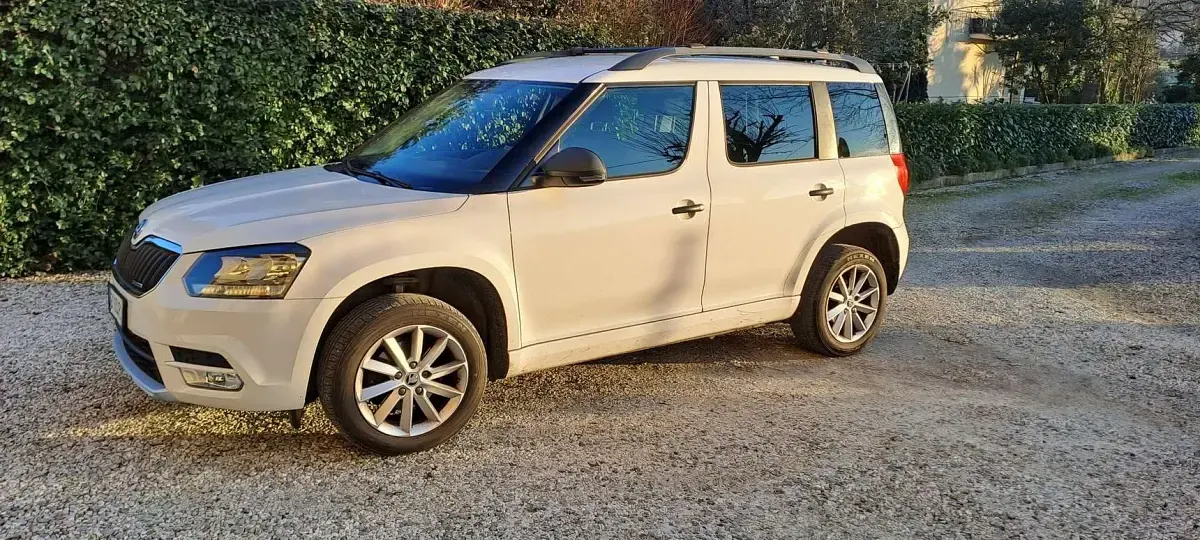 Usata Skoda Yeti GreenLine 105 CV (77 kW) 2015 SUV