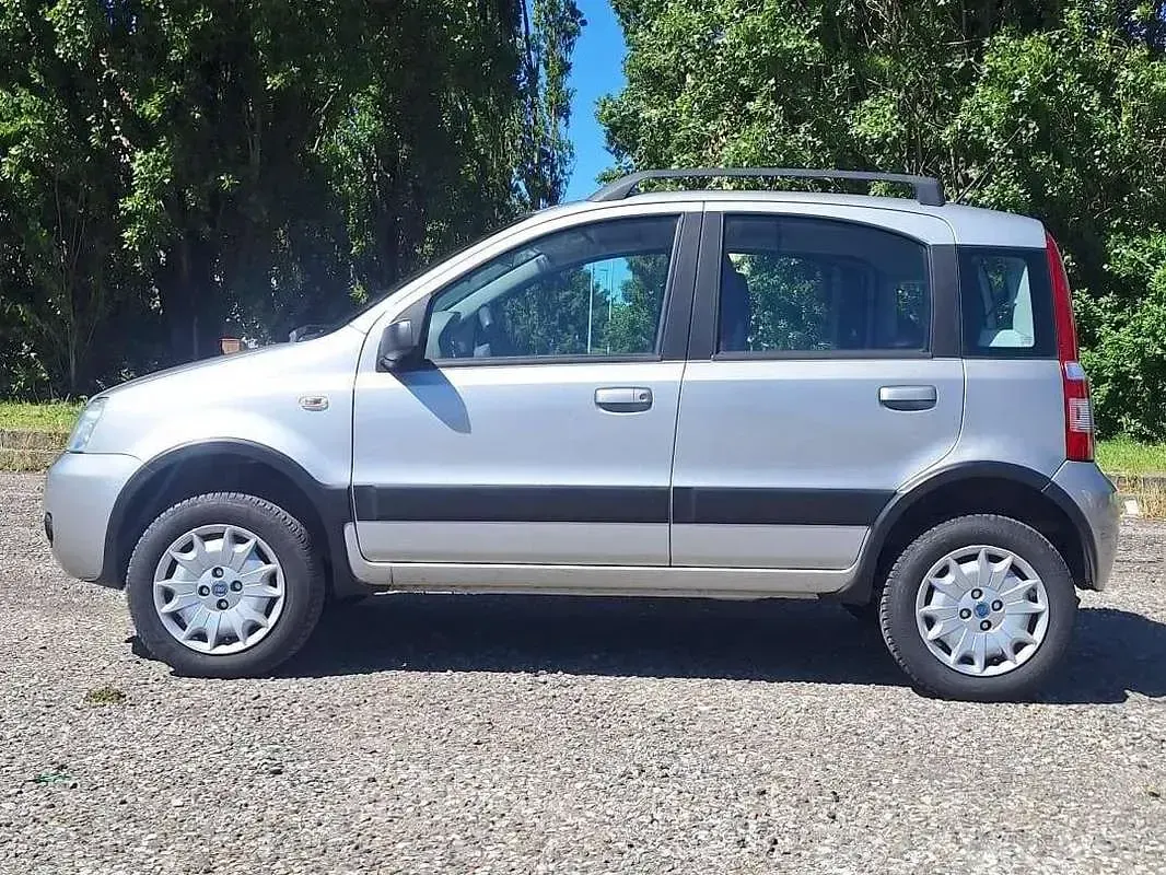 Usata Fiat Panda 4x4 Climbing 60 CV (44 kW) 2006 Argento Utilitaria