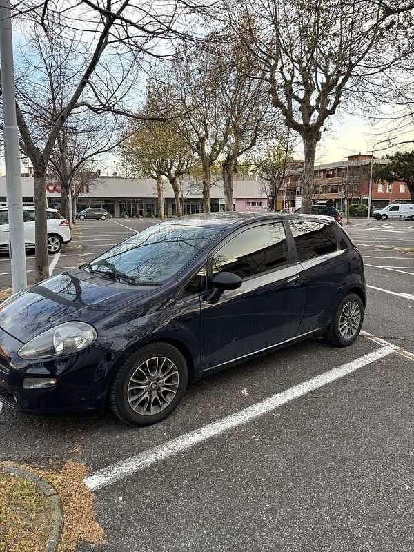 Usata Fiat Punto Evo S 75 CV (55 kW) 2014 Utilitaria