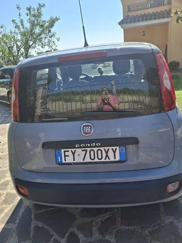 Usata Fiat Panda Easy 69 CV (50 kW) 2019 Grigio Utilitaria
