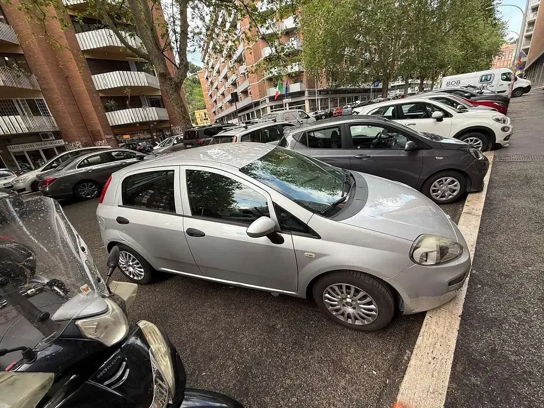 Usata Fiat Punto Evo 95 CV (69 kW) 2017 Argento Utilitaria