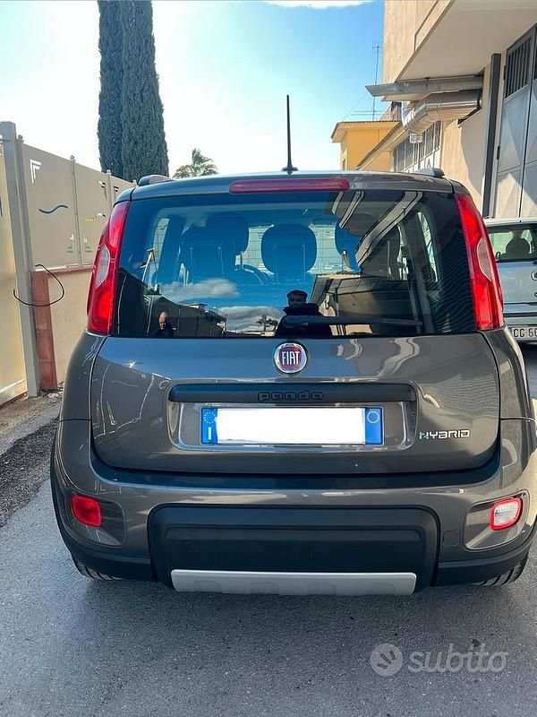 Usata Fiat Panda City Life 70 CV (51 kW) 2023 Grigio Utilitaria