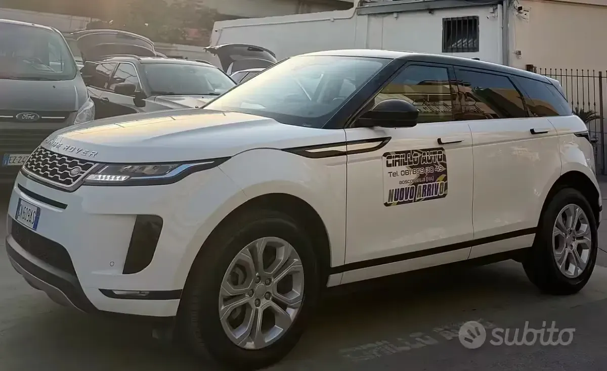 Usata Land Rover Range Rover evoque Dynamic 150 CV (110 kW) 2020 Bianco SUV