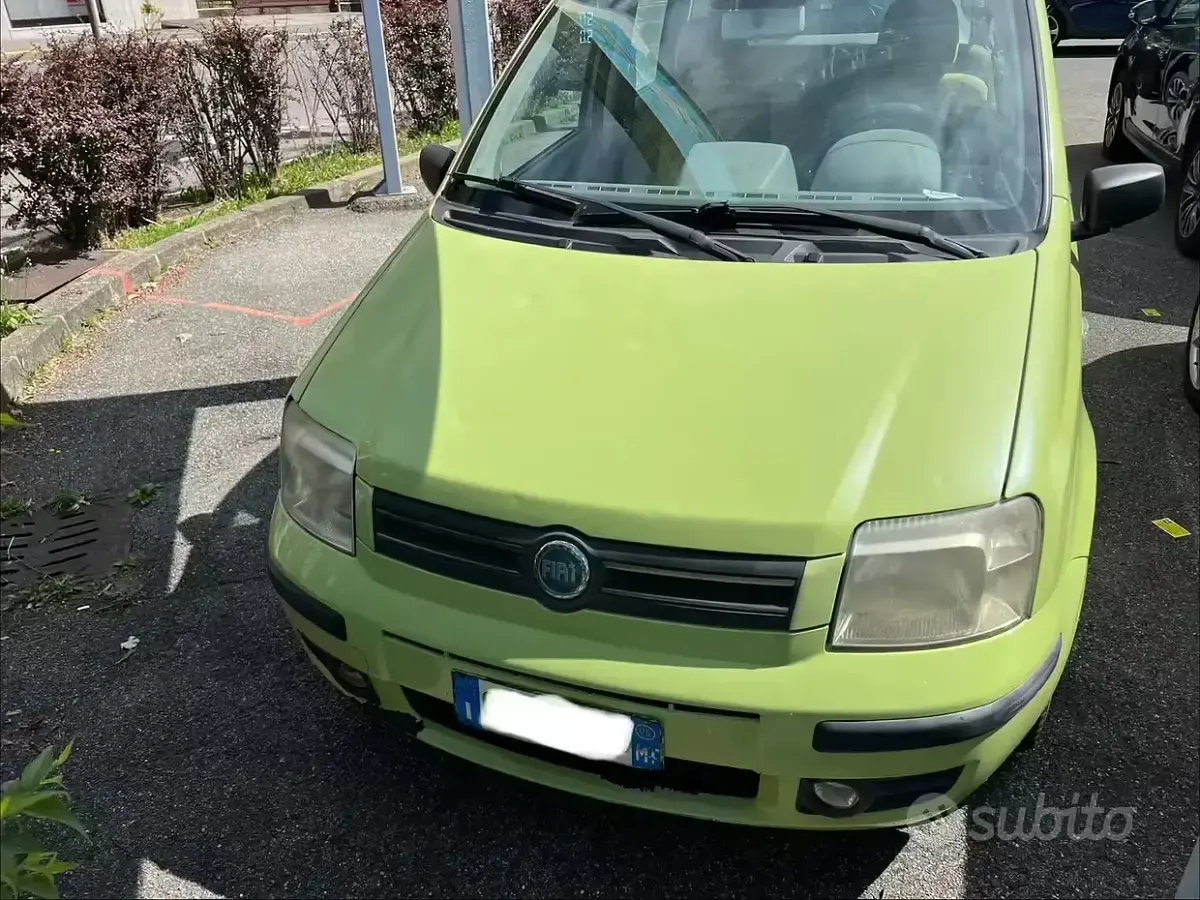 Usata Fiat Panda Dynamic 60 CV (44 kW) 2005 Verde Utilitaria