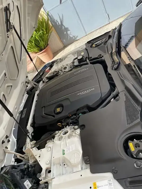 Usata Jaguar F-Type R-Dynamic 300 CV (220 kW) 2019 Bianco Coupé
