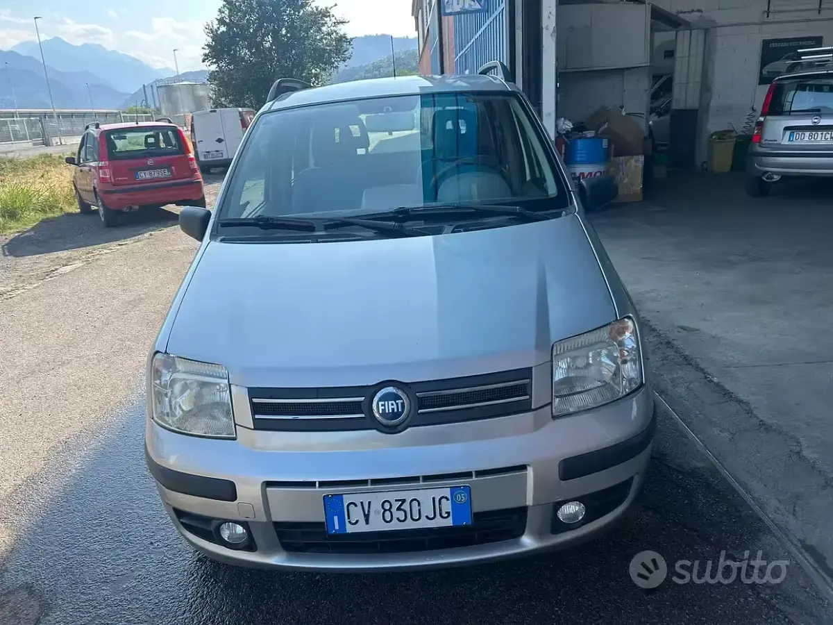 Usata Fiat Panda Dynamic 60 CV (44 kW) 2005 Utilitaria