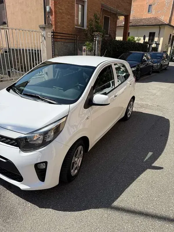 Usata Kia Picanto 67 CV (49 kW) 2017 Bianco Utilitaria