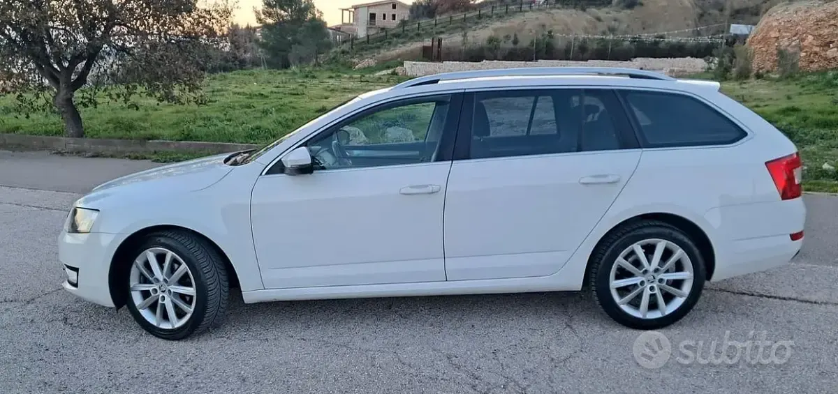 Usata Skoda Octavia Ambition 105 CV (77 kW) 2014 Bianco Station wagon