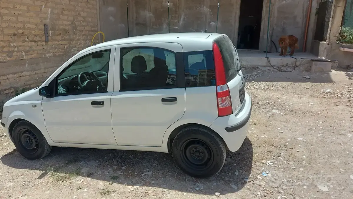 Usata Fiat Panda 2008 Bianco Utilitaria