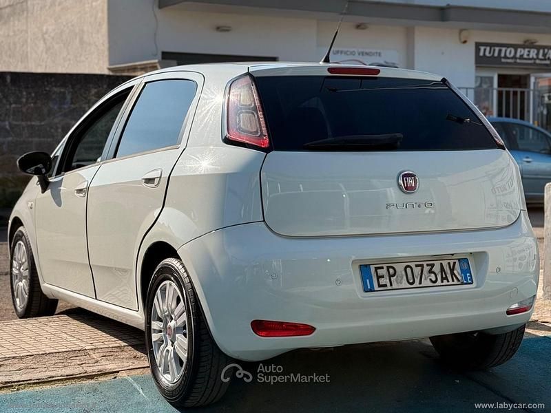 Usata Fiat Punto 75 CV (55 kW) 2013 Bianco Utilitaria