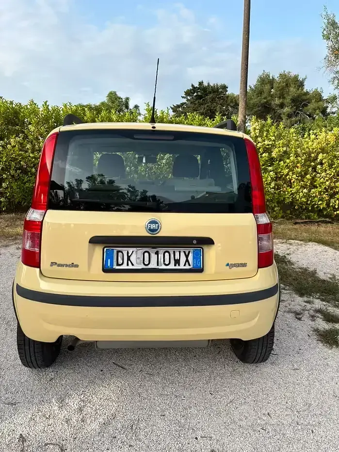Usata Fiat Panda Dynamic 60 CV (44 kW) 2007 Giallo Utilitaria