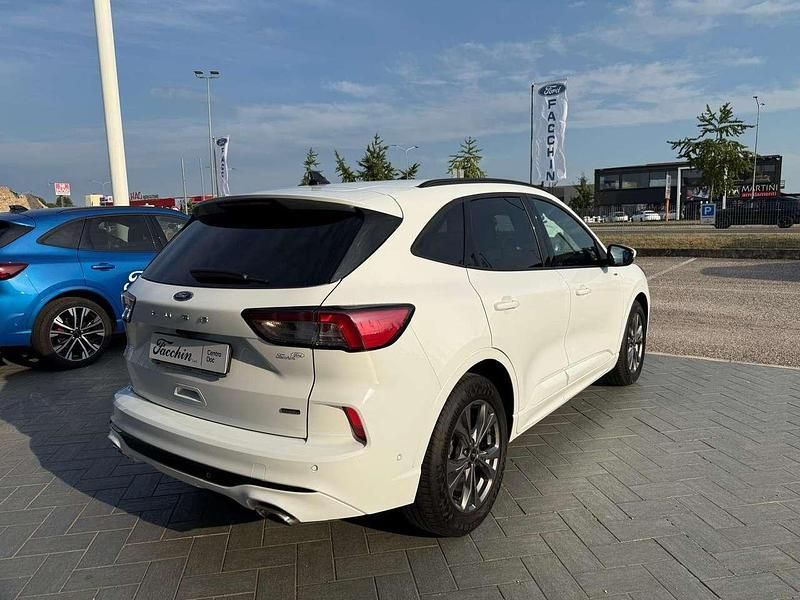 Usata Ford Kuga ST-Line 152 CV (111 kW) 2020 Bianco SUV